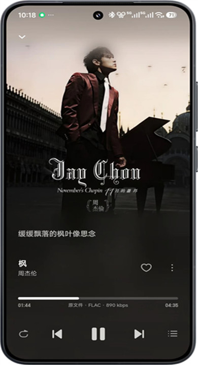飞牛音乐截图3