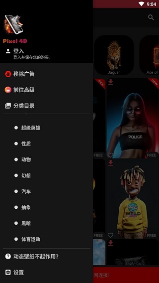 pixel4d截图2