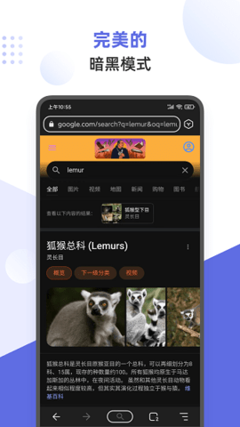 狐猴浏览器截图2
