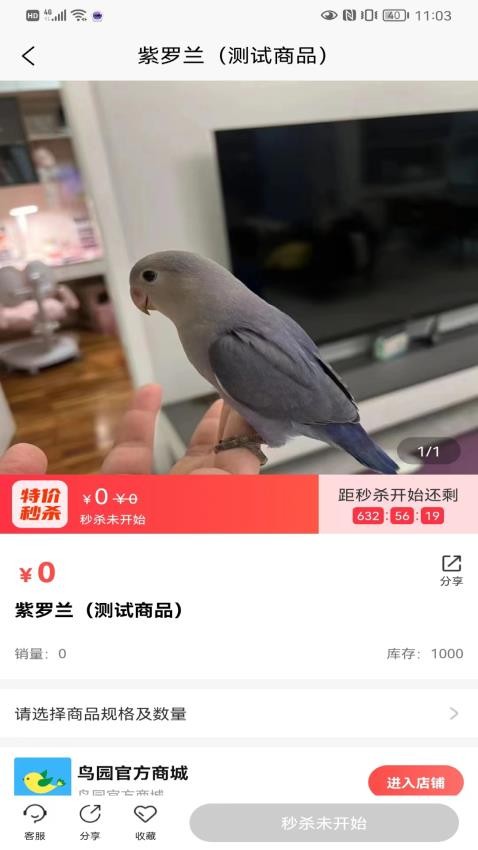 鸟园截图3