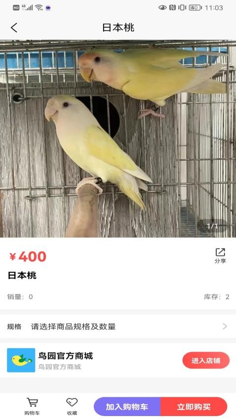 鸟园截图4