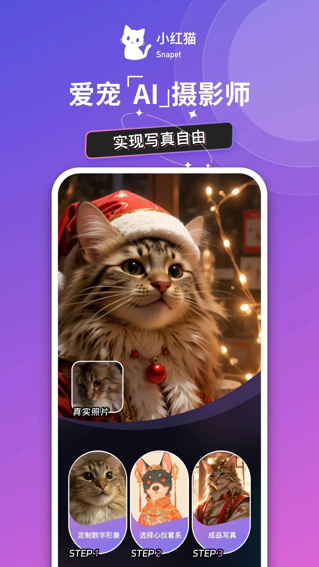 猫着吧截图1