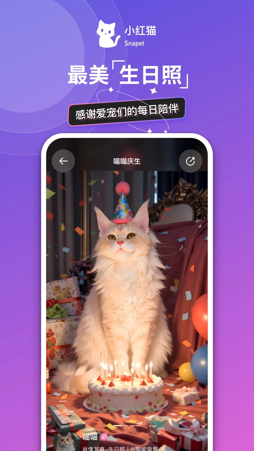 猫着吧截图3
