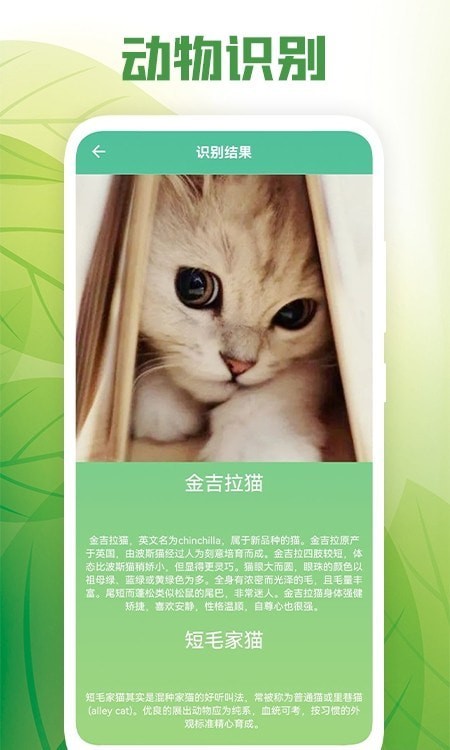 花卉百科截图2