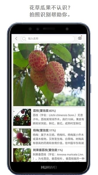 花卉识别截图1