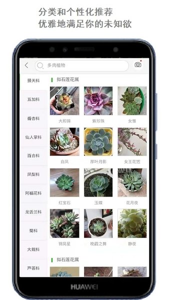 花卉识别截图3