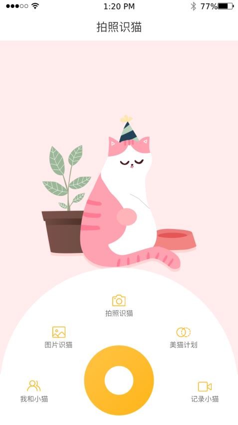云养猫截图1