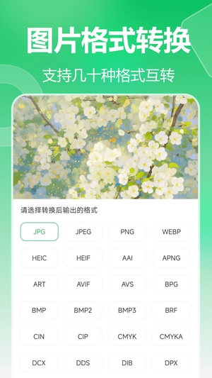 池鱼图片格式转换截图2