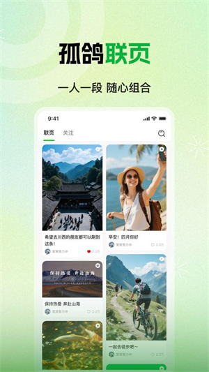 孤鸽截图2