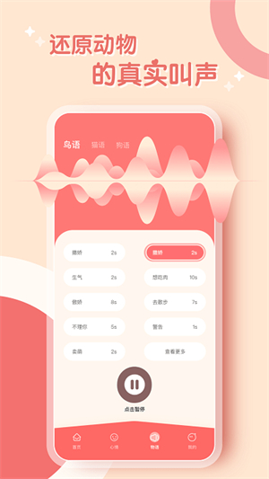 鹦鹉翻译器截图4