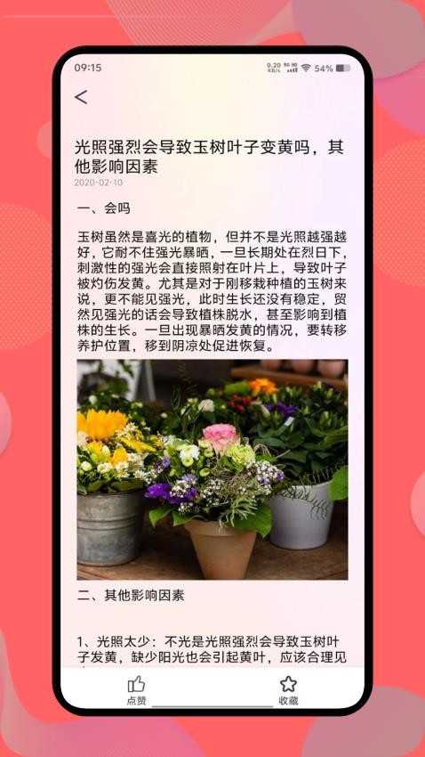 花社区截图1