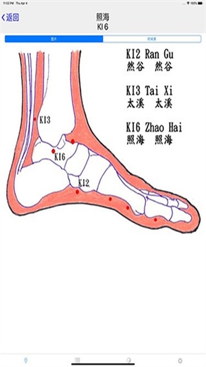 子午灵龟截图3