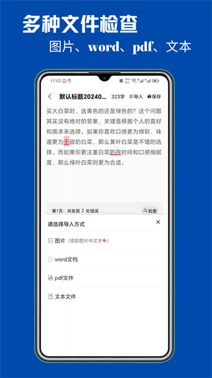 错别字检查截图1