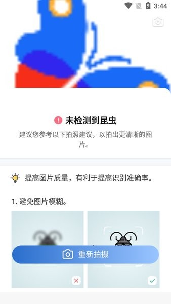 Picture Insect截图1