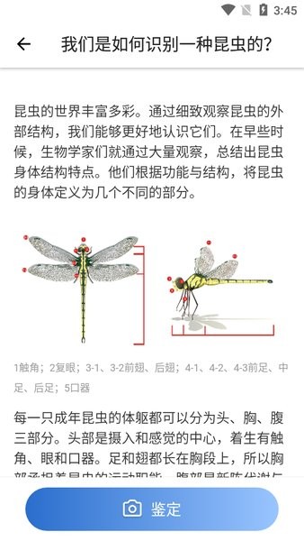 Picture Insect截图2