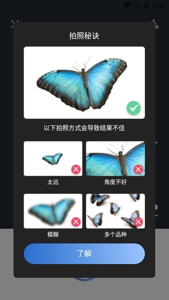 Picture Insect截图3