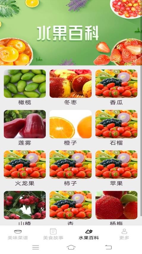美味天天点截图2