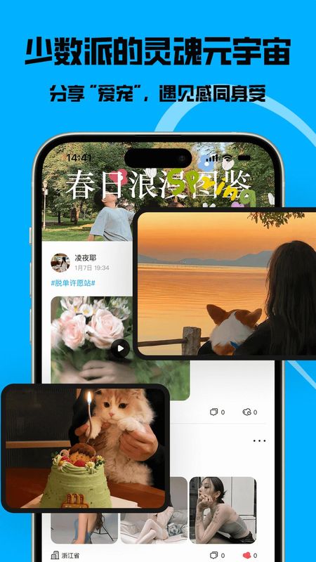 猫匿截图2