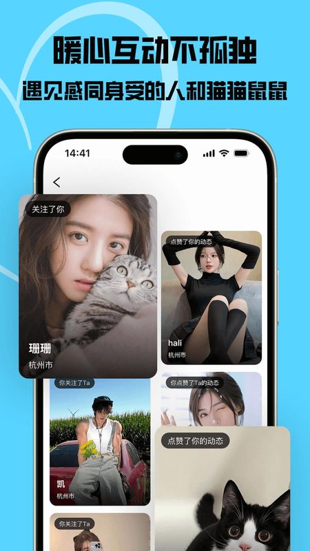 猫匿截图4