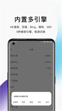 AE浏览器截图1