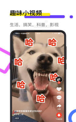 火萤透明壁纸截图1