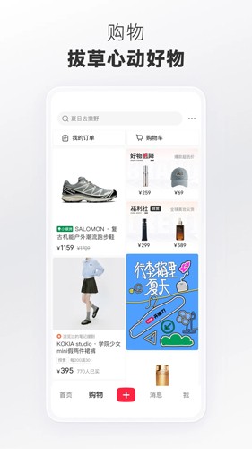 小红书2026版截图4