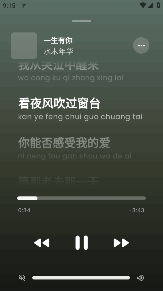 ArchiveTune音乐截图2