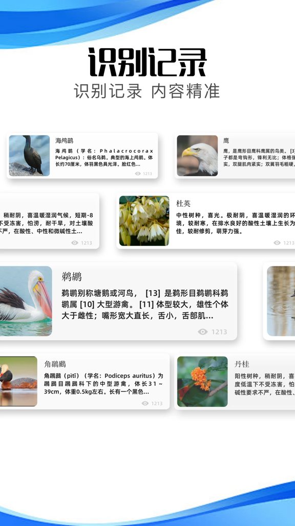 冷眸软件库截图4