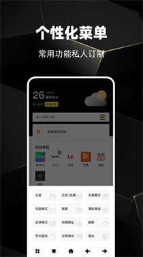Gohoode浏览器截图1