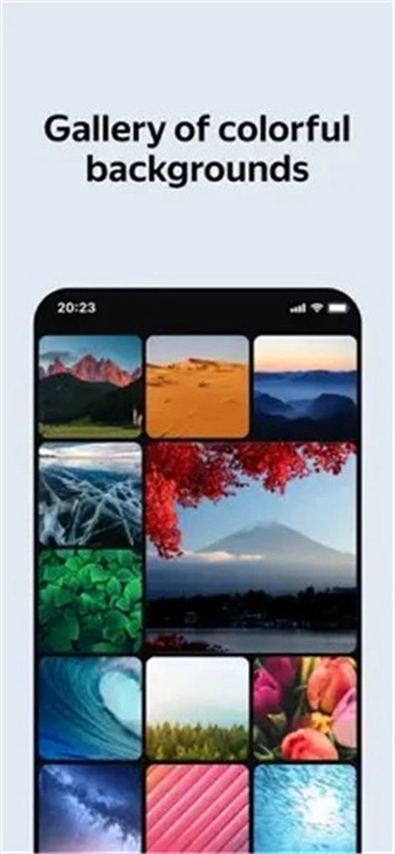 俄罗斯引擎浏览器截图2