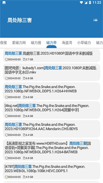 磁域截图1