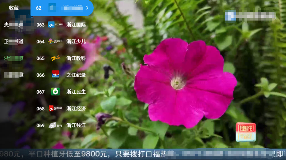 天微影视TV版截图1