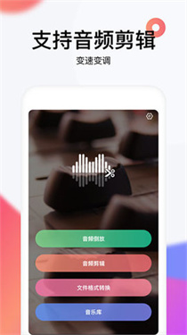 reversevoice截图4