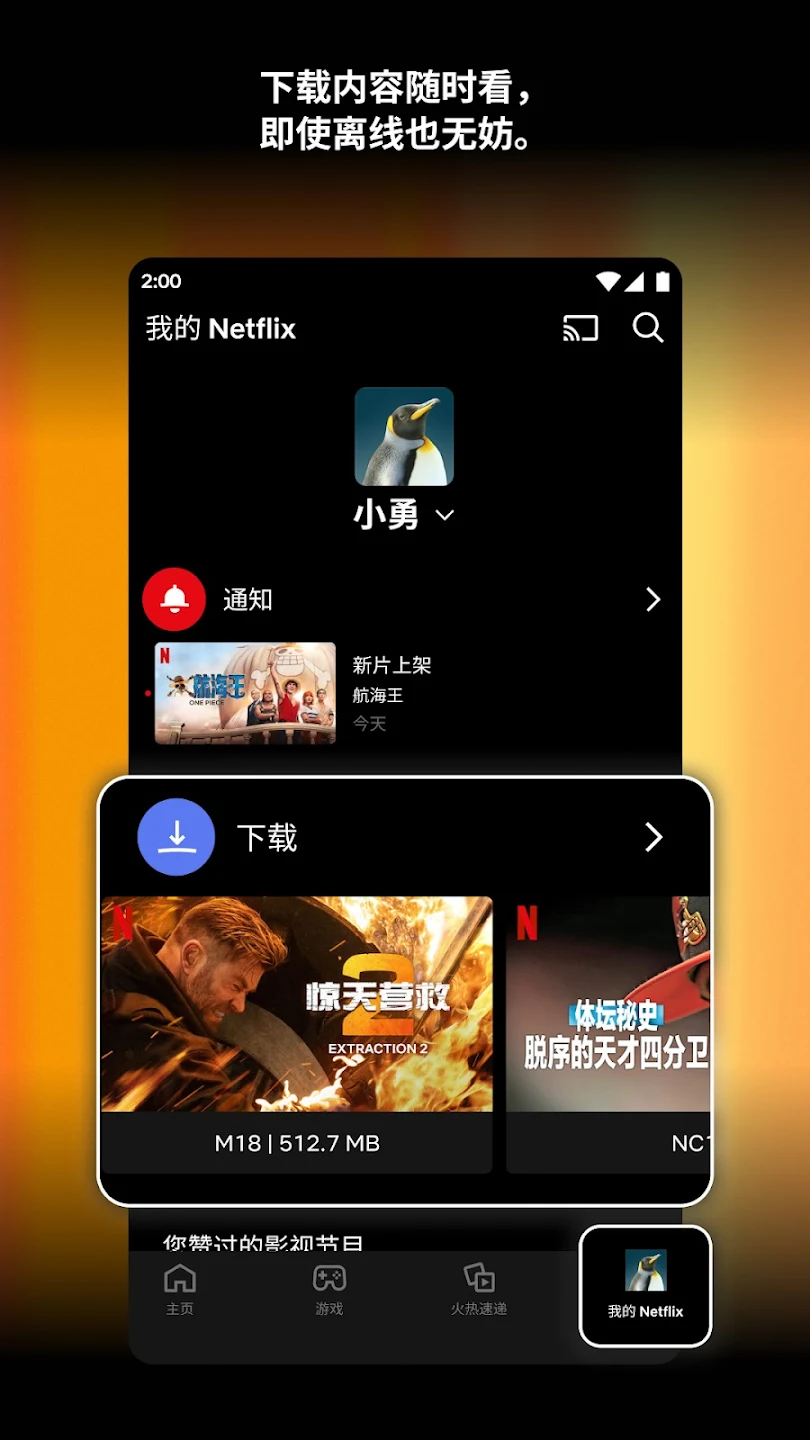 奈飞截图3