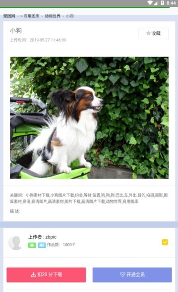 聚图库截图2