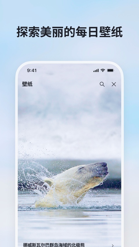 微软必应截图5