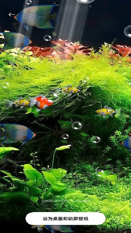 水族馆动态壁纸手机版截图2
