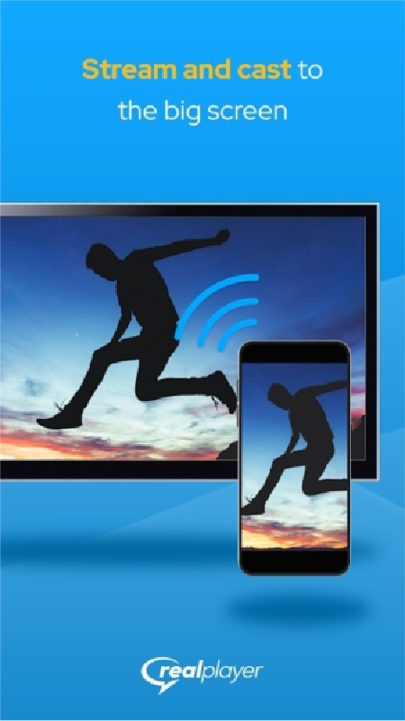 realplayer截图1
