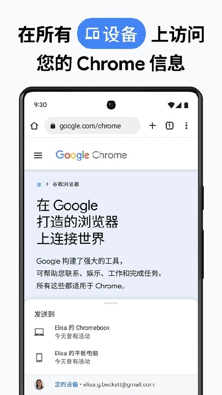 chrome汉化版截图4