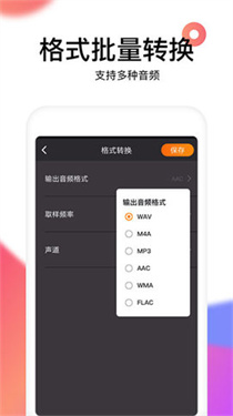 reversevoice截图2