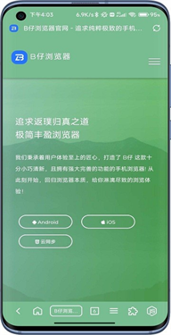 B仔浏览器截图4