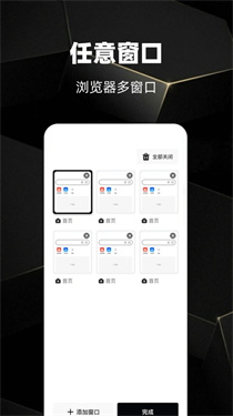Gohoode浏览器截图3