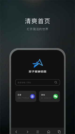 双子星浏览器截图3