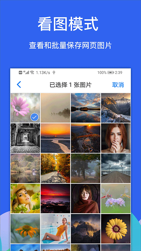 Alook浏览器旧版截图2