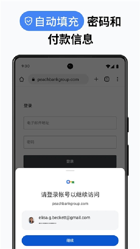 chrome浏览器截图2