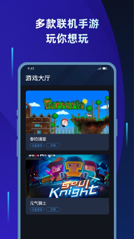 贝锐蒲公英联机截图1