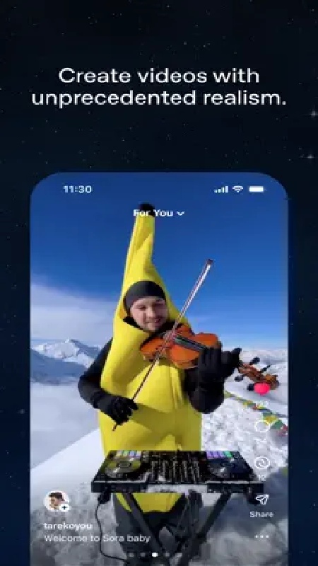 sora2直连版截图4