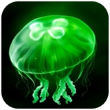 绿水母eggjelly国际正版