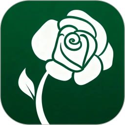 隅芯