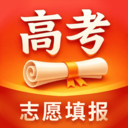 金桔志愿